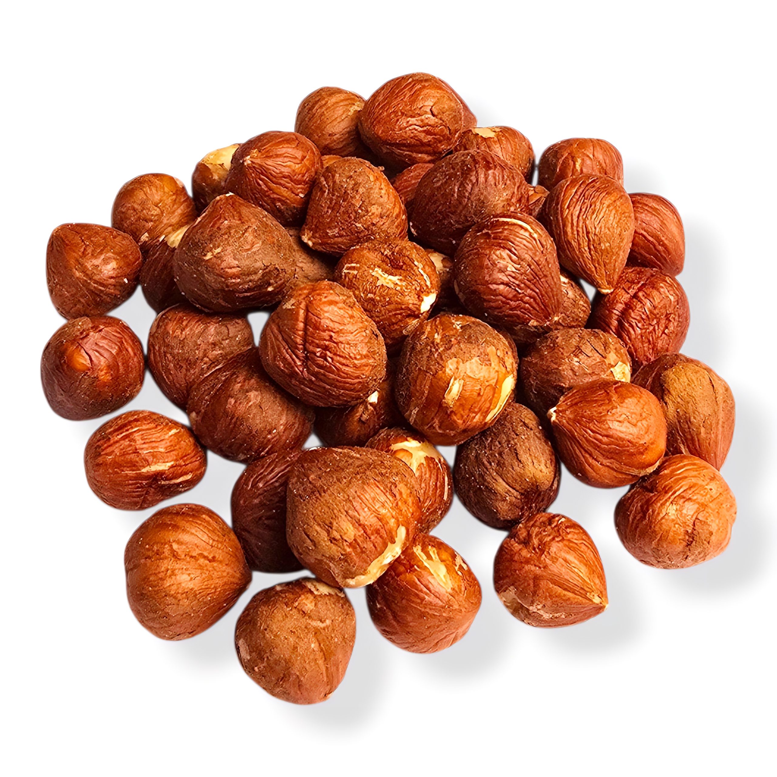 Raw Hazelnuts - Premium Quality & Fresh